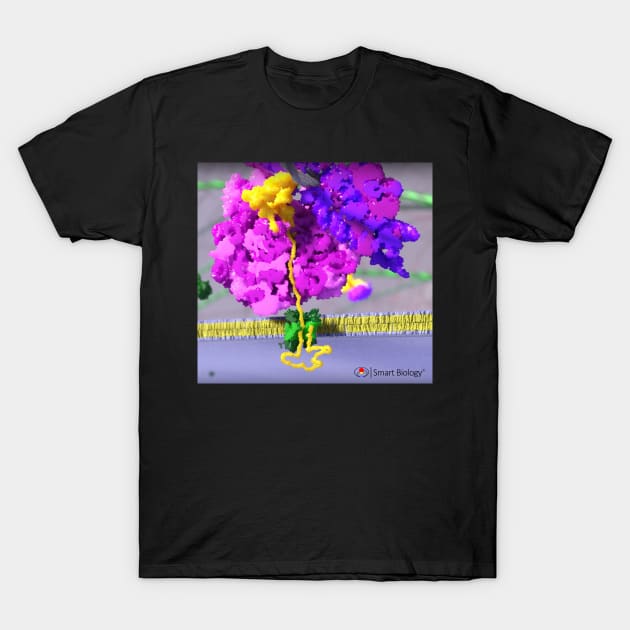 Ribosome T-Shirt by Smart Biology